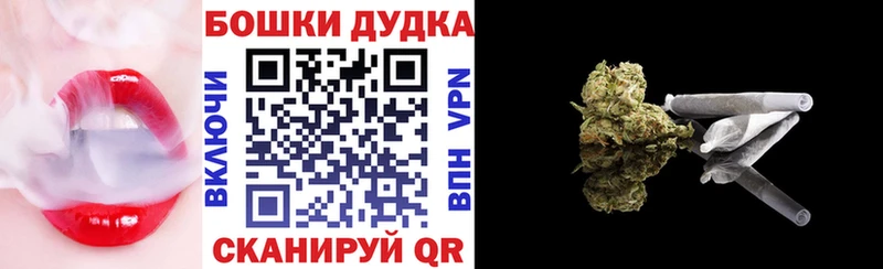 Каннабис OG Kush  Дигора 